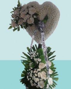 A endless love and kindness